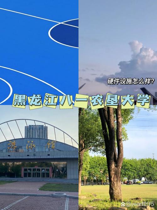 黑龙江八一农垦大学是985还是211 第1张 黑龙江八一农垦大学是985还是211 第1张