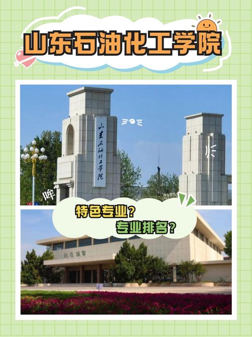 山东石油化工学院是985,211高校吗 第1张 山东石油化工学院是985,211高校吗 第1张