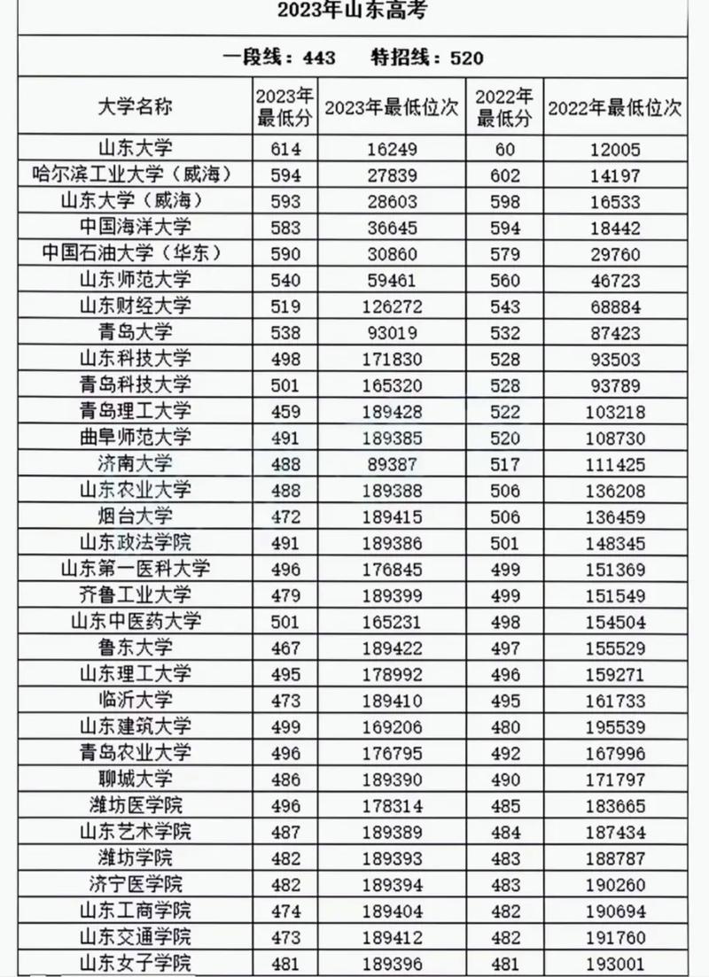 山东高考排名61000-62000位次能上什么大学(2026) 第1张 山东高考排名61000-62000位次能上什么大学(2026) 第1张
