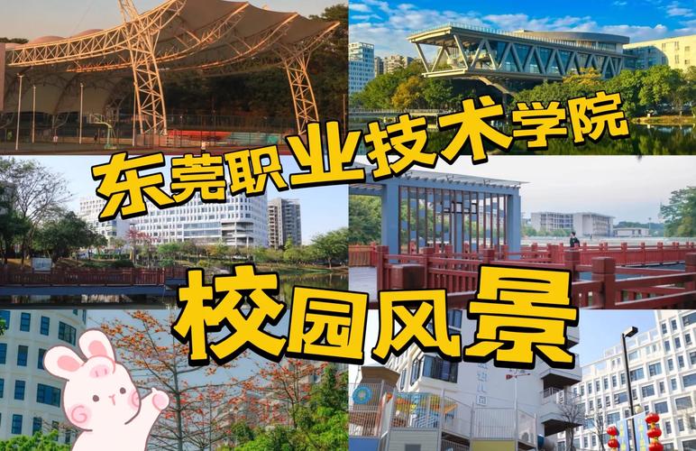 东莞有哪些职业技术学院 第1张 东莞有哪些职业技术学院 第1张