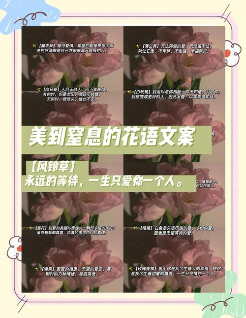 关于花的浪漫高级文案 第1张 关于花的浪漫高级文案 第1张