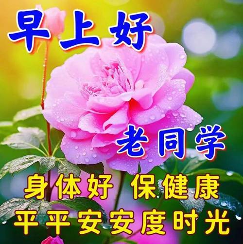 中老年简短问候祝福语,老同学清晨问好句子 第1张 中老年简短问候祝福语,老同学清晨问好句子 第1张