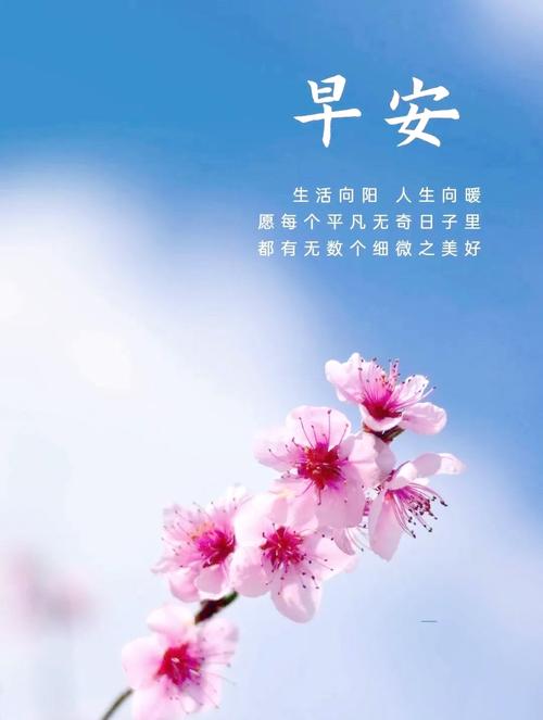微信早上好充满正能量的经典励志语录  第1张