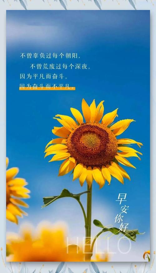 发朋友圈短句,句句阳光正能量! 第1张 发朋友圈短句,句句阳光正能量! 第1张
