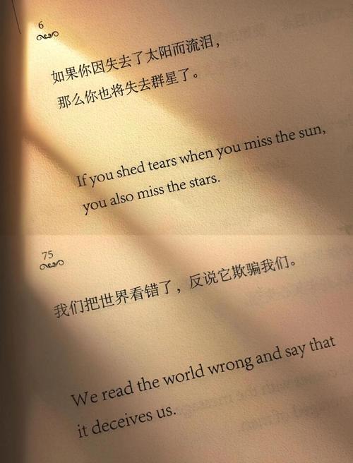 泰戈尔最经典的10句话,读懂治愈一生 第1张 泰戈尔最经典的10句话,读懂治愈一生 第1张