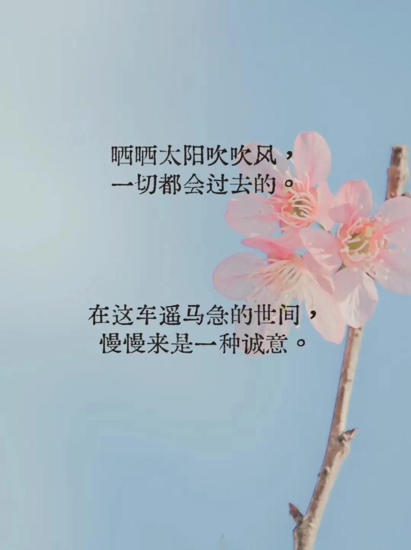 朋友圈积极向上的说说短句，阳光正能量，值得分享  第1张
