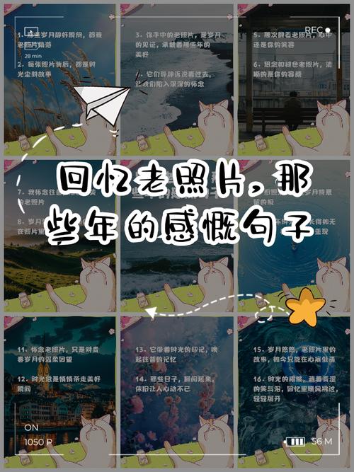 那些年我们用过的非主流经典语录 第1张 那些年我们用过的非主流经典语录 第1张