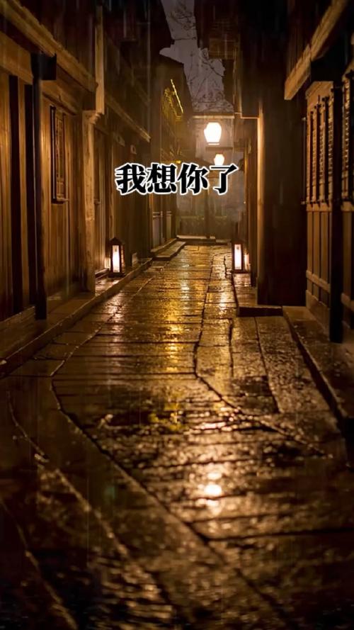 想您了，在灯火阑珊时  第1张