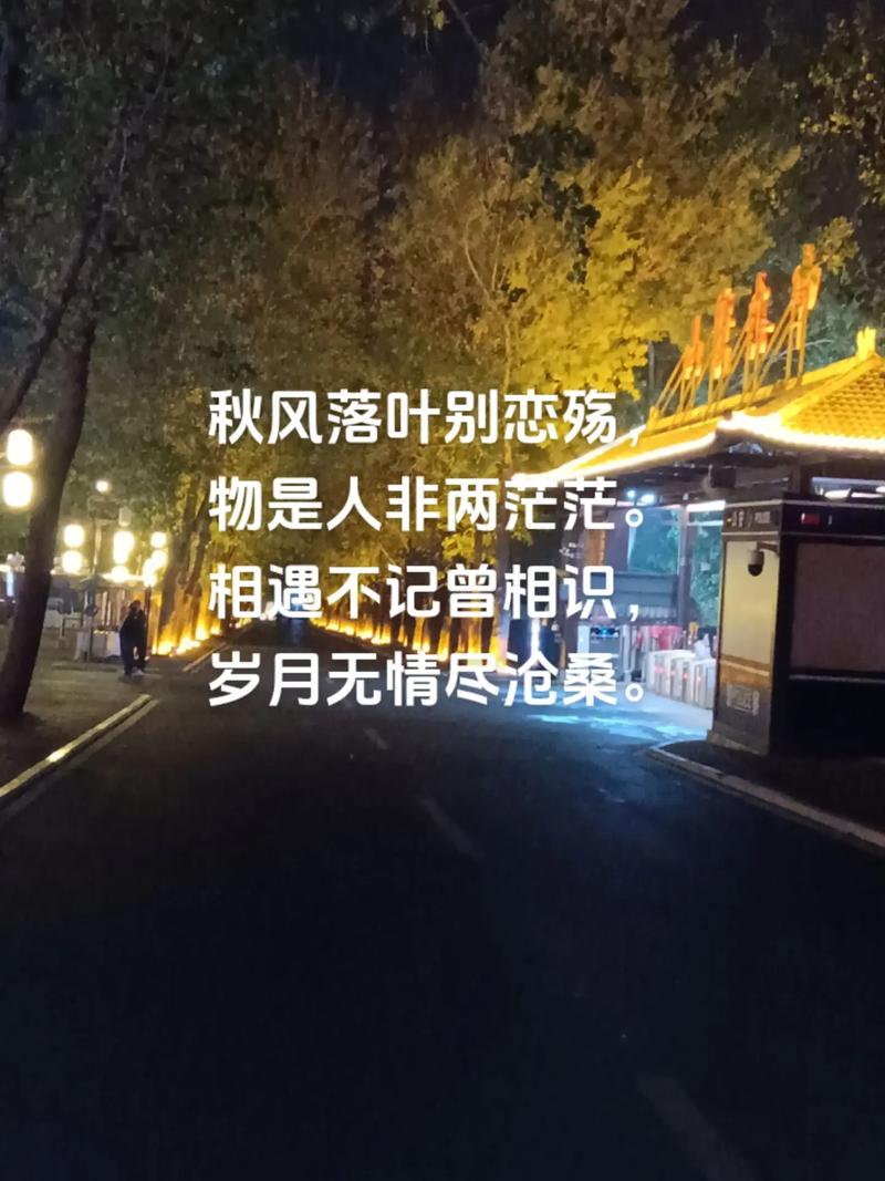 秋末冬初时节,深情地想你 第1张 秋末冬初时节,深情地想你 第1张