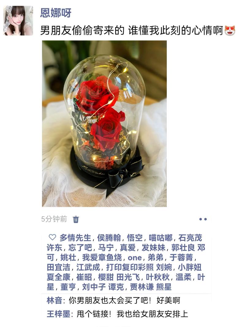 我去你的时间的朋友，价值的玫瑰  第1张