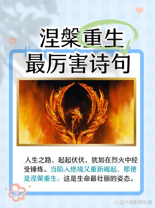 涅盘重生的励志句子，让你信心满满！  第1张