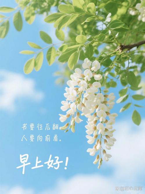 充满阳光的励志心语，激励自己的句子，正能量满满  第1张