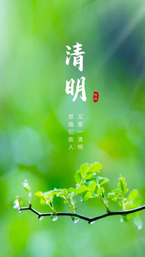 清明节文案祝福语，追思亲人的诗句，缅怀先烈感言寄语，发朋友圈  第1张