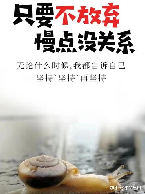 很适合配音的文案，关于放慢脚步的唯美语录  第1张