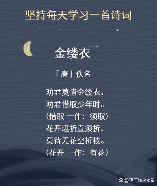 唐诗《金缕衣》赏析  第1张
