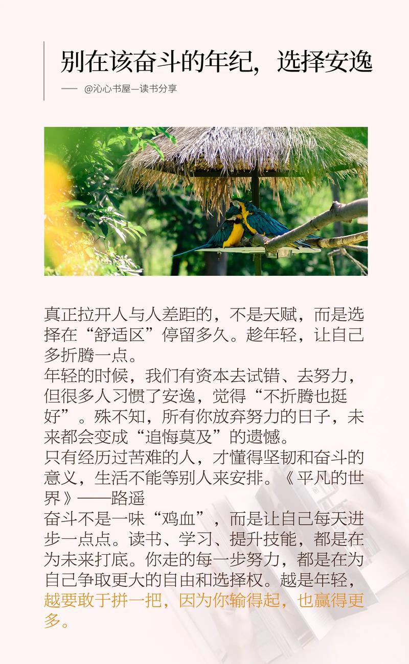 别在最吃苦的年龄选择了潇洒  第1张