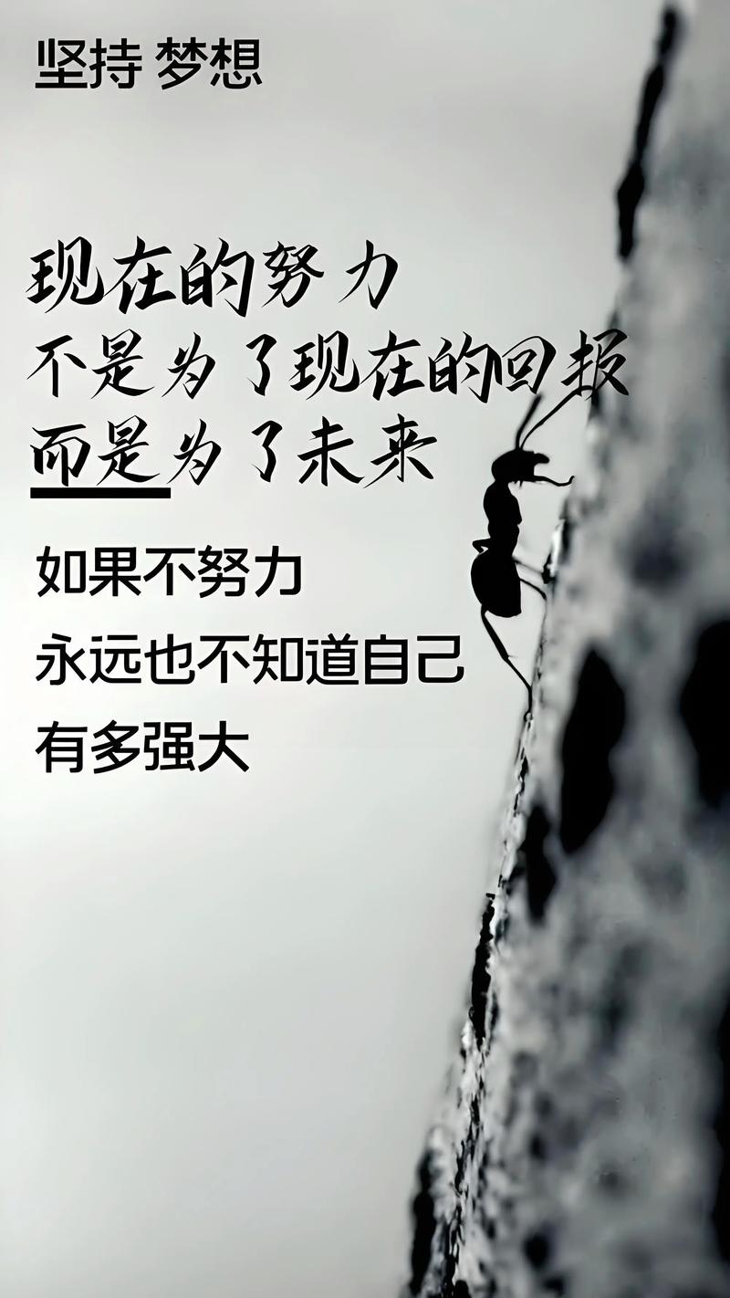 励志文章：我们最难超越的是自己  第1张