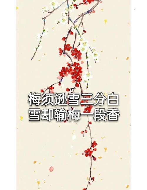 “樱桃千万枝，照耀如雪天”，看樱桃花开皎皎白如雪  第1张