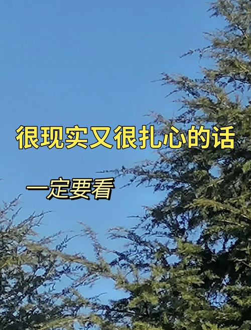 很现实的情感句子：精致走心，每一句都是实实在在的真理  第1张