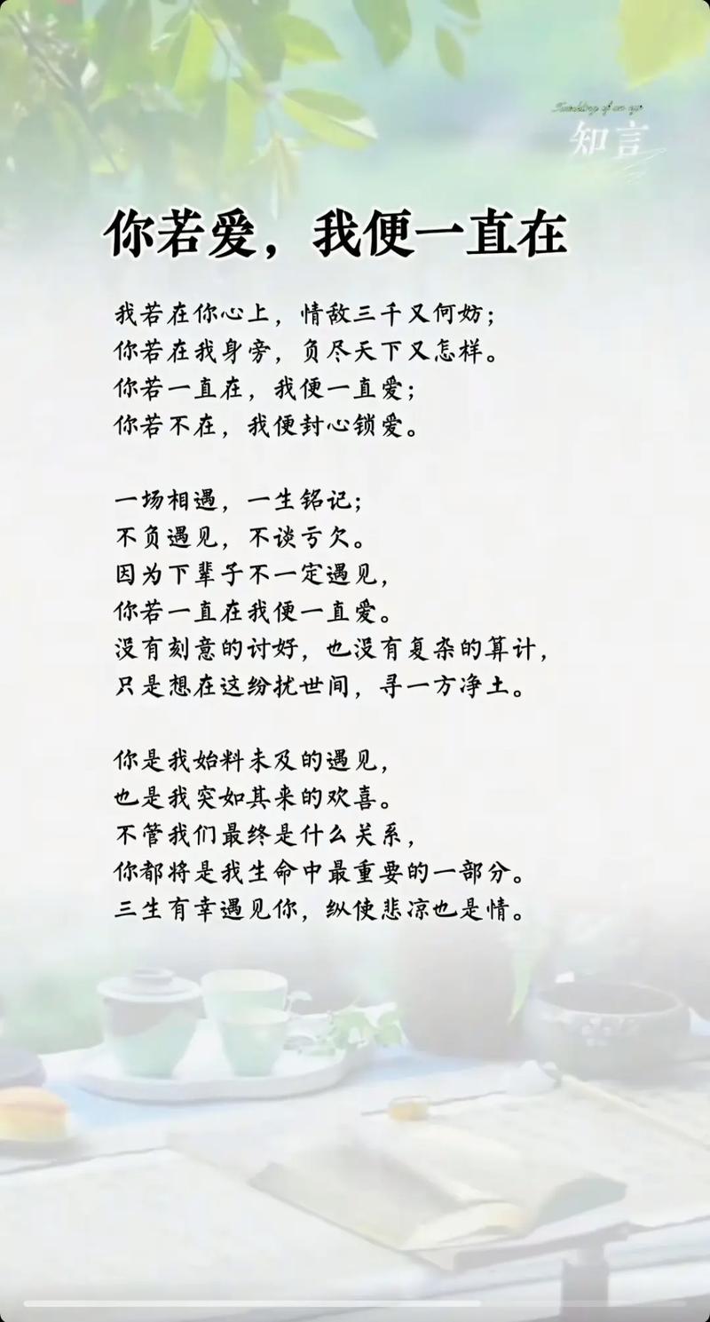 心思如歌，深情喜欢的唯美短句  第1张