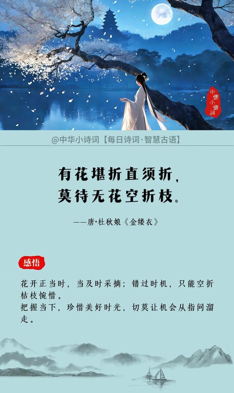 有花堪折直须折，莫待无花空折枝  第1张