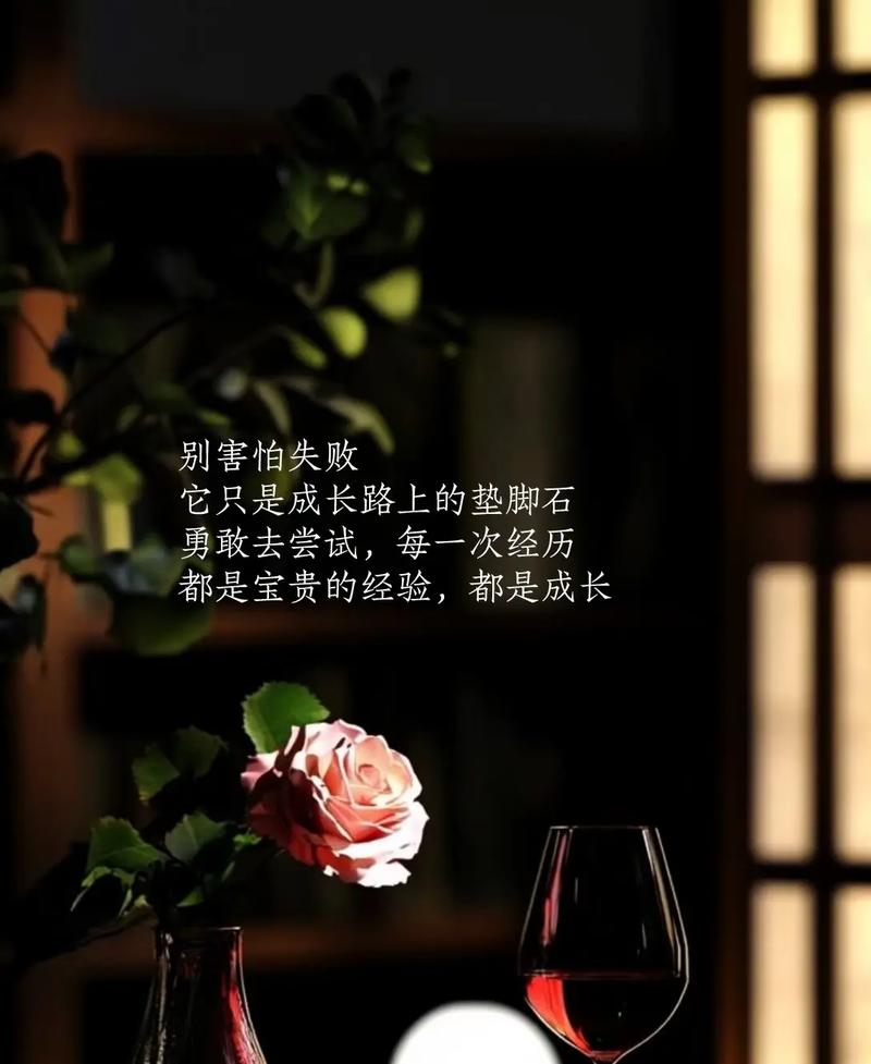 宁可做了失败,也别不做后悔 第1张 宁可做了失败,也别不做后悔 第1张