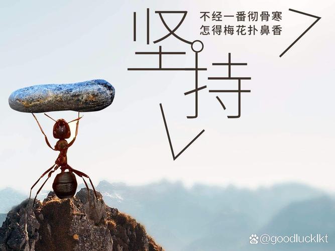 有些事情，我们需要坚持到底?励志文章  第1张