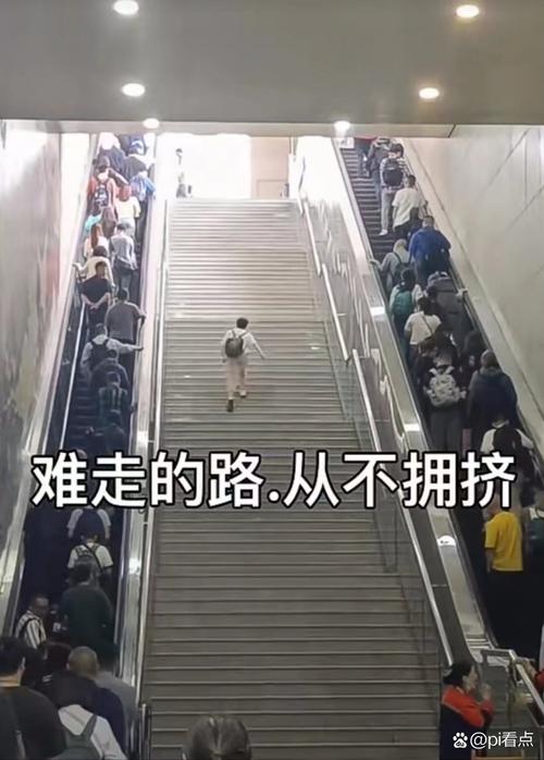 失败的路上最拥挤 第1张 失败的路上最拥挤 第1张