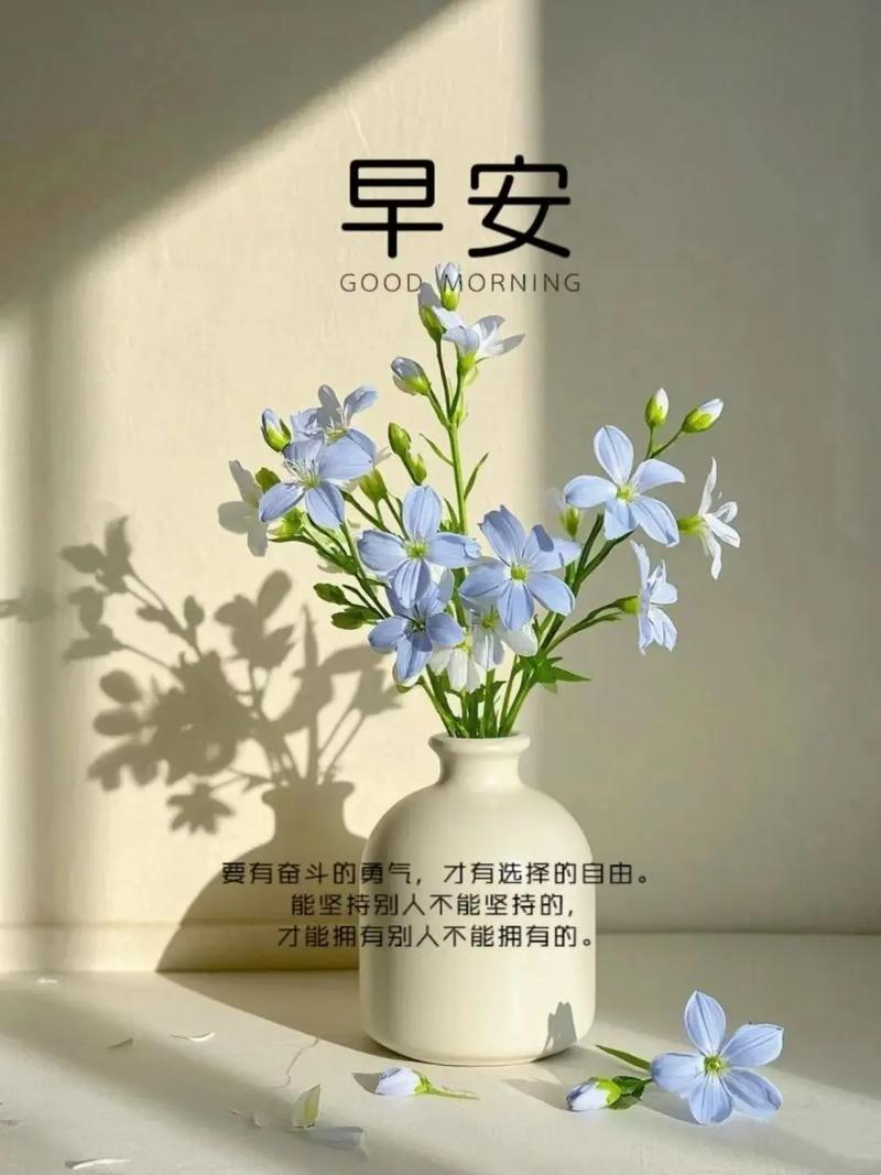 心怀感恩,有恩必报,永不做过河拆桥之人,早安 第1张 心怀感恩,有恩必报,永不做过河拆桥之人,早安 第1张