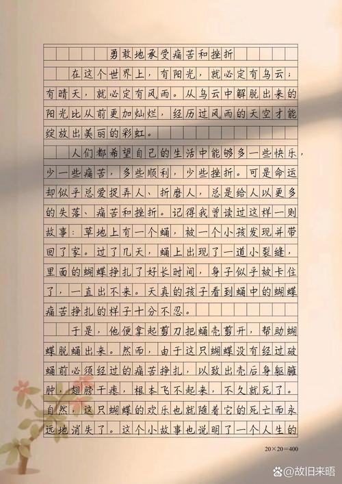 中学生励志作文  第1张