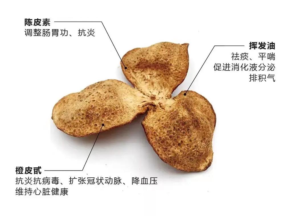 第二章:陈皮 第1张 第二章:陈皮 第1张