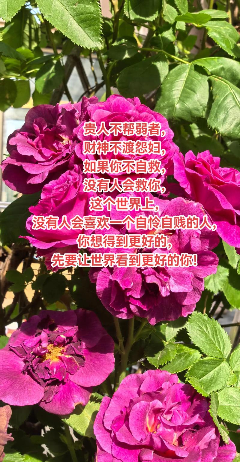 10条引人深思的短句，天助自助者，成功者自救  第1张