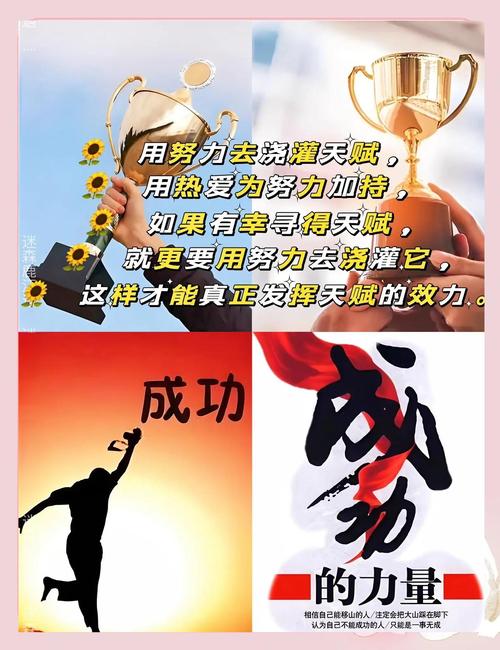 成功者最闪亮的素质  第1张