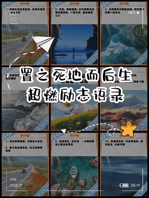 为什么很多人努力了却还死了一地？  第1张