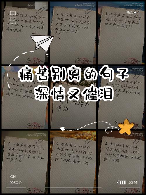 50句关于离别不舍的说说 第1张 50句关于离别不舍的说说 第1张