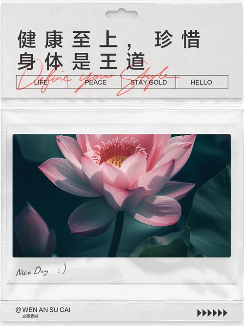 珍惜身体,保养身体,注重健康18个健康名言,值得收藏 第1张 珍惜身体,保养身体,注重健康18个健康名言,值得收藏 第1张