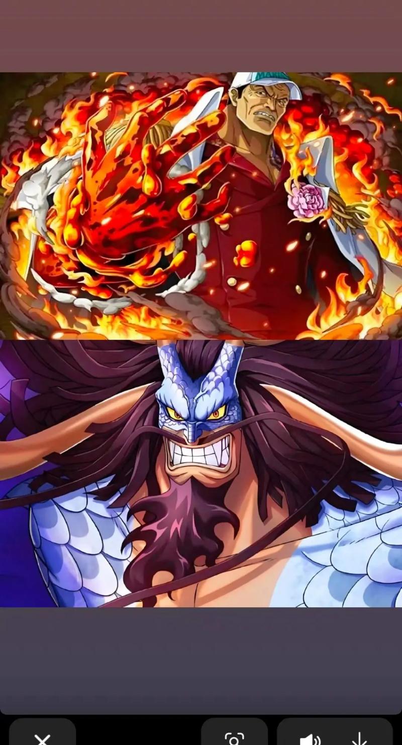 海贼王:将皇究竟是否同级? 第1张 海贼王:将皇究竟是否同级? 第1张