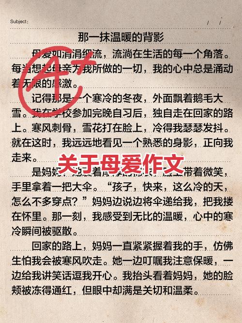 高三周记300字：母爱如雨滴  第1张