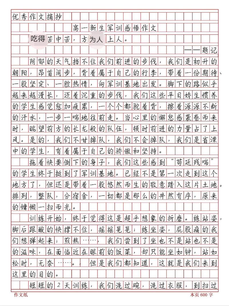 高一作文随笔  第1张