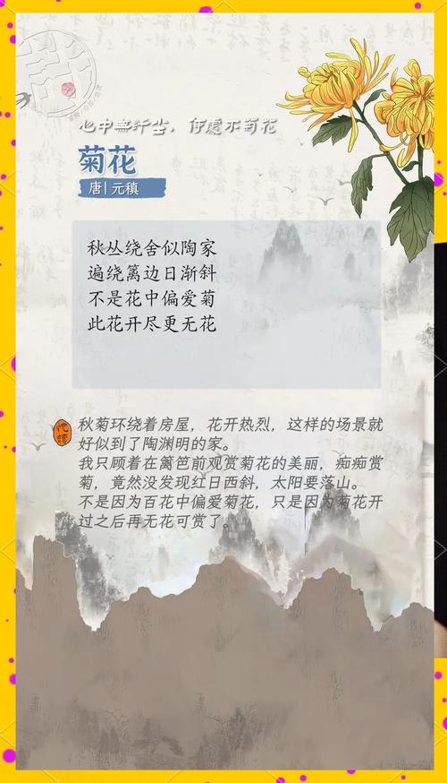 15首经典唯美菊花诗词，你会背几首  第1张