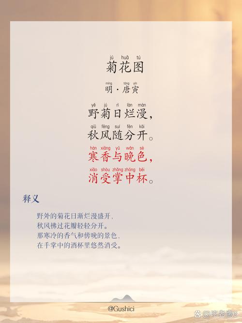 10首菊花诗词，唯美了整个秋天  第1张