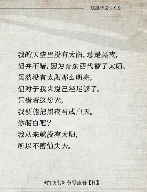 读《白夜行》有感  第1张