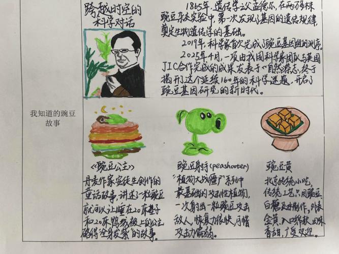一颗豌豆,会长成什么??励志文章 第1张 一颗豌豆,会长成什么??励志文章 第1张