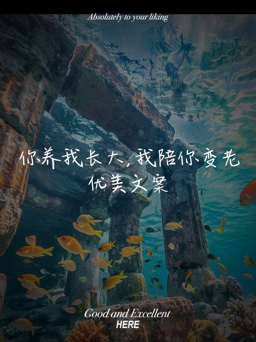 感恩父母：你陪我长大，我陪你变老  第1张