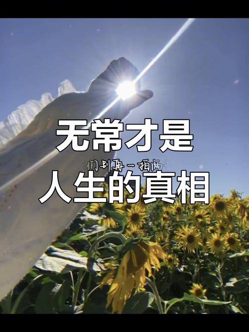 “人生无常,唯有坚持永恒——通往成功的通行证 第1张 “人生无常,唯有坚持永恒——通往成功的通行证 第1张