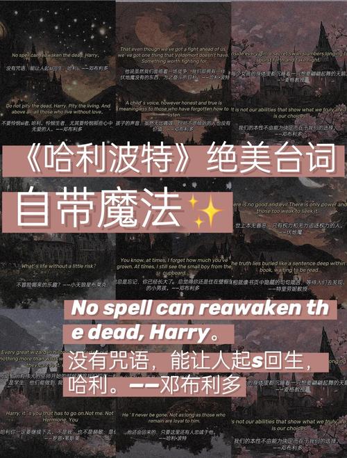 除了“眠龙勿扰”,《哈利·波特》中还有哪些寓意深刻的格言呢? 第1张 除了“眠龙勿扰”,《哈利·波特》中还有哪些寓意深刻的格言呢? 第1张