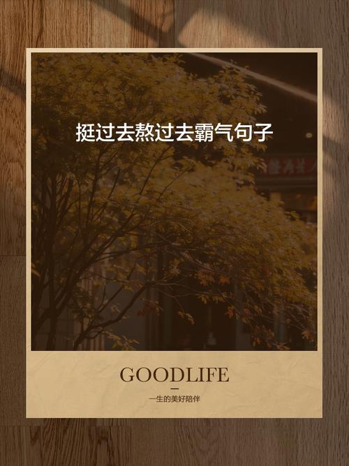 挺过去熬过去霸气句子70条经典语录大全 第1张 挺过去熬过去霸气句子70条经典语录大全 第1张