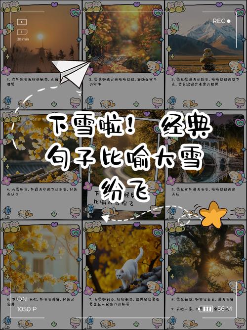 借一场大雪,表白我对人间的爱意 第1张 借一场大雪,表白我对人间的爱意 第1张