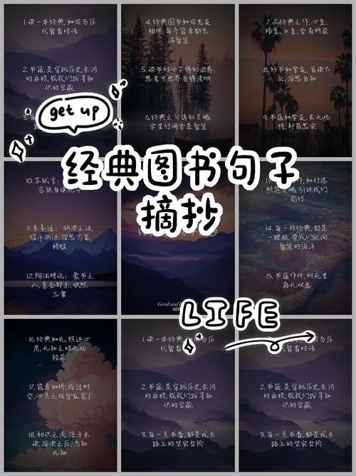 静谧与灵感的相遇,图书馆文艺气息的句子 第1张 静谧与灵感的相遇,图书馆文艺气息的句子 第1张