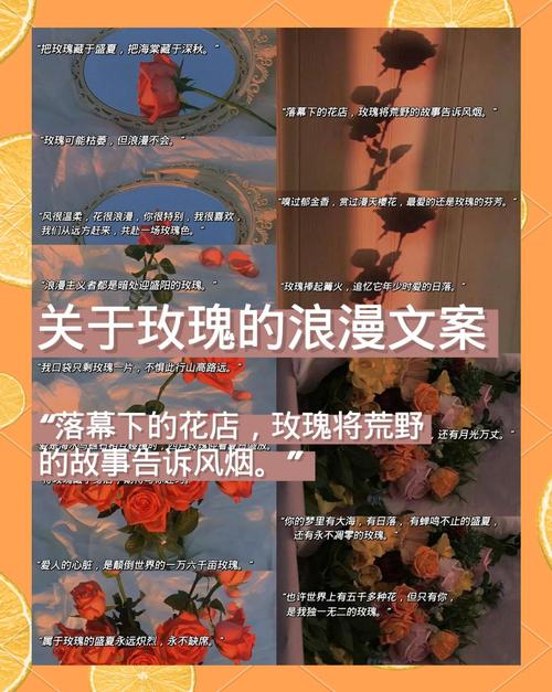 那些玫瑰不再,伤心难忘的高级文案 第1张 那些玫瑰不再,伤心难忘的高级文案 第1张